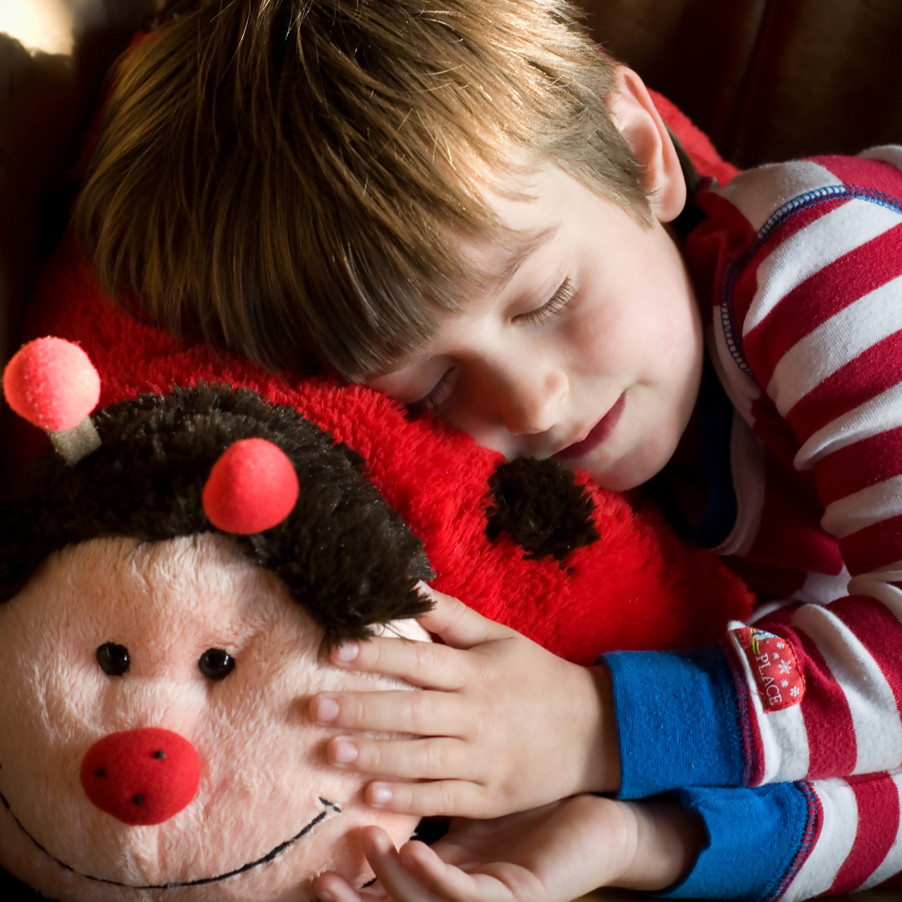 Ms. Ladybug Plush Pillow Pet - Image 3